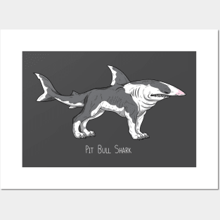 Pit Bull Shark Posters and Art